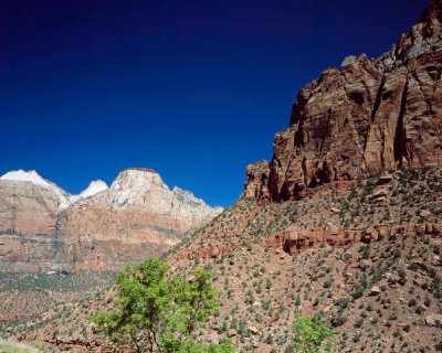 Carol Highsmith - Multicolored cliffs of Zion National Park, Utah, 1980