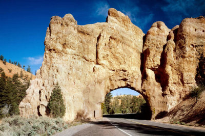 Carol Highsmith - Red Canyon Route, Zion National Park, Utah, 1980