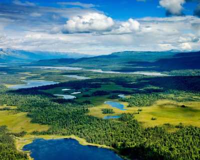 Carol Highsmith - Alpine lakes and forest, Denali National Park, Alaska, 2008