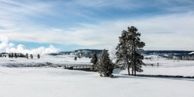 Carol Highsmith - Wintertime along the Madison River in Yellowstone National Park, 2016