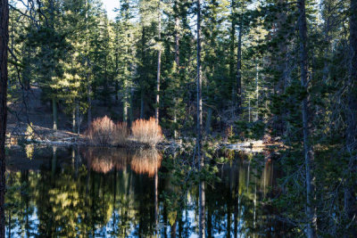 Carol Highsmith - A corner of Manzanita Lake at Lassen Volcanic National Park, California, 2012
