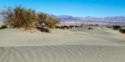 Carol Highsmith - The Mesquite Flat Sand Dunes in Death Valley National Park in California, 2012
