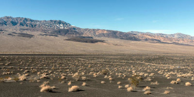 Carol Highsmith - A few scrubby shrubs survive on this playa in Death Valley National Park, 2012