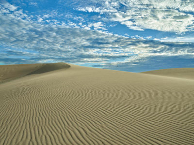 Carol Highsmith - Great Sand Dunes National Park and Preserve, 2016