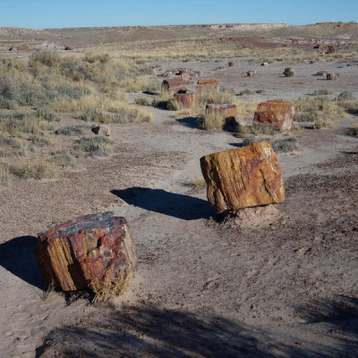 Carol Highsmith - Fossilized tree specimens in the Petrified Forest, 2018