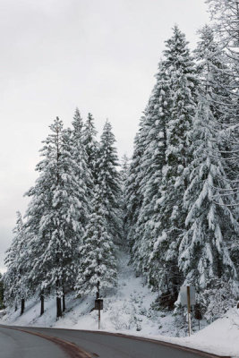Carol Highsmith - Snowy Scene on California Highway 36, south of Lassen Volcanic National Park, 2012