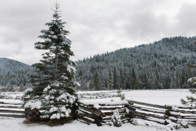 Carol Highsmith - Snowy Scene on California Highway 36, south of Lassen Volcanic National Park, 2012