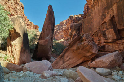 Carol Highsmith - Havasu Canyon, 2018