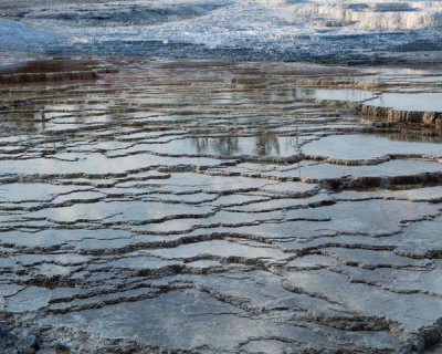 Carol Highsmith - Yellowstone National Park's Lower Terrace, 2015