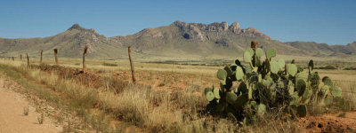 Carol Highsmith - Road to Chiricahua National Monument, 2018