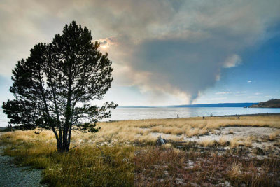 Carol Highsmith - Smoke of a sizable forest fire seen across Yellowstone Lake, 2015