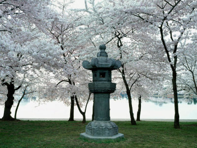 Carol Highsmith - The Japanese Lantern, West Potomac Park, Washington, D.C., ca 1980