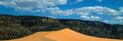 Carol Highsmith - Coral Pink Sand Dunes State Park in Utah, 1980