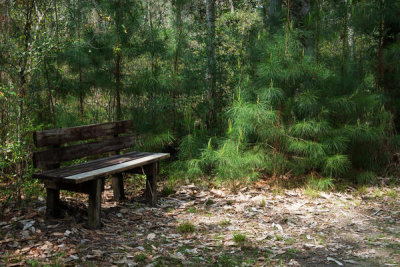 Carol Highsmith - Resting bench along the trail in Big Thicket National Preserve, Texas, 2014