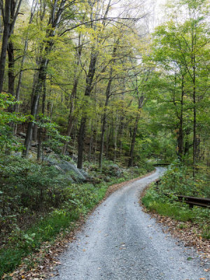 Carol Highsmith - Road to Nuttallburg, a ghost town in West Virginia, 2015