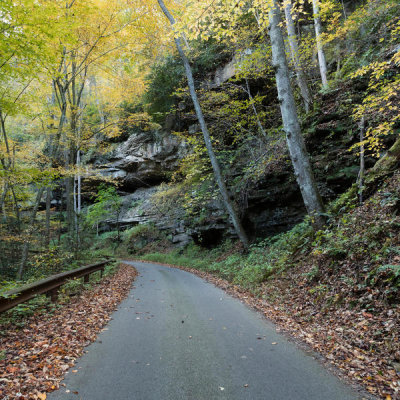 Carol Highsmith - Road to Nuttallburg, a ghost town in West Virginia, 2015