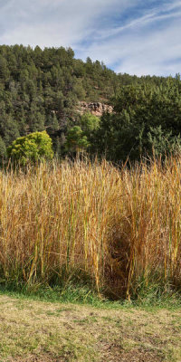 Carol Highsmith - Tall grass area on a fall day in Tonto Natural Bridge State Park, Arizona, 2018