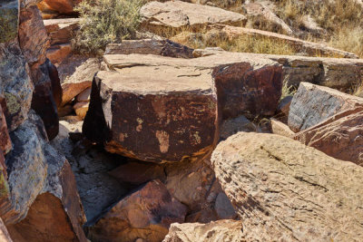 Carol Highsmith - Petroglyphs created by Puebloan peoples between 1250 and 1380 A.D. in what is now called the Petrified Forest, part of a U.S. national park in Arizona