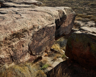 Carol Highsmith - Petroglyphs created by Puebloan peoples between 1250 and 1380 A.D. in what is now called the Petrified Forest, part of a U.S. national park in Arizona