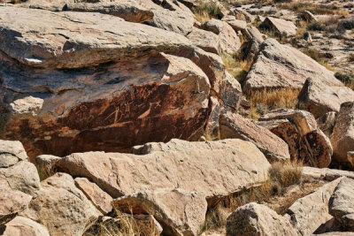 Carol Highsmith - Petroglyphs created by Puebloan peoples between 1250 and 1380 A.D. in what is now called the Petrified Forest, part of a U.S. national park in Arizona