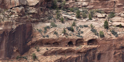 Carol Highsmith - Canyon de Chelly, Arizona, 2018