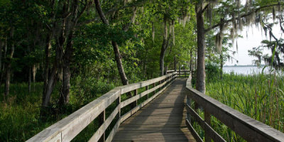 Carol Highsmith - Blakeley State Park located on the Tensaw River in Alabama, 2010