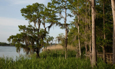 Carol Highsmith - Blakeley State Park located on the Tensaw River in Alabama, 2010