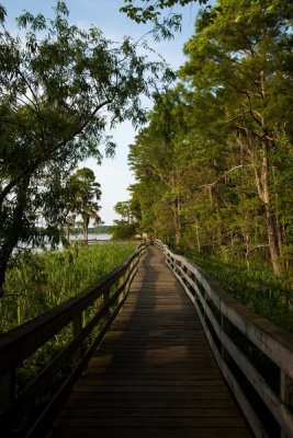 Carol Highsmith - Blakeley State Park located on the Tensaw River in Alabama, 2010