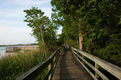 Carol Highsmith - Blakeley State Park located on the Tensaw River in Alabama, 2010