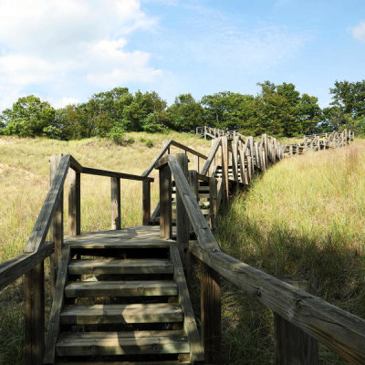 Carol Highsmith - Long wooden stairway from wooded campsites down to the dunes at Indiana Dunes State Park, 2016
