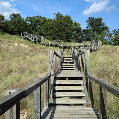 Carol Highsmith - Long wooden stairway from wooded campsites down to the dunes at Indiana Dunes State Park, 2016