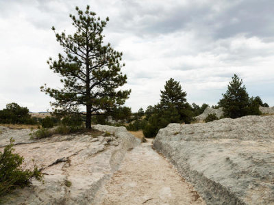 Carol Highsmith - A preserved site of wagon ruts of the Oregon Trail on the North Platte River, near Guernsey, Wyoming, 2015