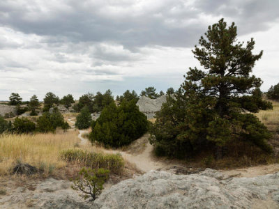 Carol Highsmith - A preserved site of wagon ruts of the Oregon Trail on the North Platte River, near Guernsey, Wyoming, 2015