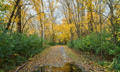 Carol Highsmith - Fall in Fort Snelling State Park in Minnesota, 2019