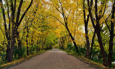 Carol Highsmith - Fall in Fort Snelling State Park in Minnesota, 2019