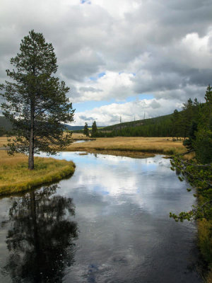 Carol Highsmith - The Madison River in Yellowstone National Park, Wyoming, 2015