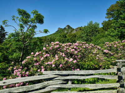 Carol Highsmith - View of Grandfather Mountain in North Carolina from the access road leading to the crest, 2017