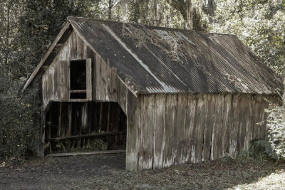Carol Highsmith - Covered bridge at the Walter Jones Historical Park, Florida, 2020