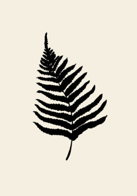 Uppsala Studio - Fern