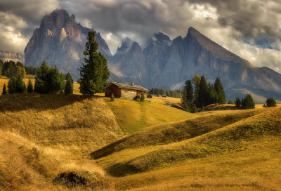 Martin Kucera - On A Mountain Meadow