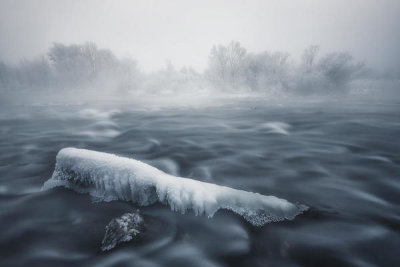 Tom Meier - Frozen Trunk