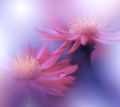 Juliana Nan - Endless Love...