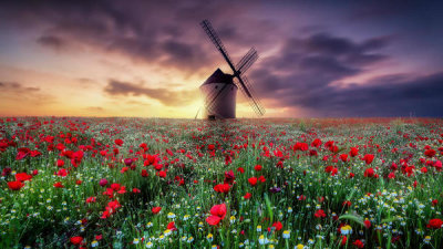 Jose Antonio Trivino - Spring By The Windmill