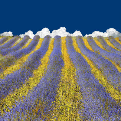 Lars Van De - Lavender Heaven