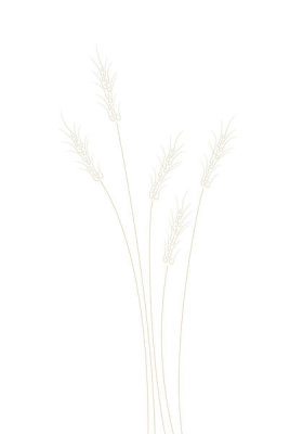 Uppsala - Wheat Grass