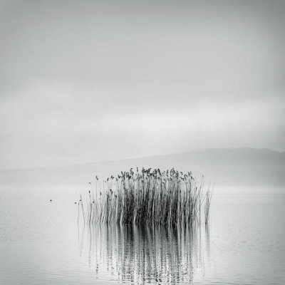 George Digalakis - Morning Silence