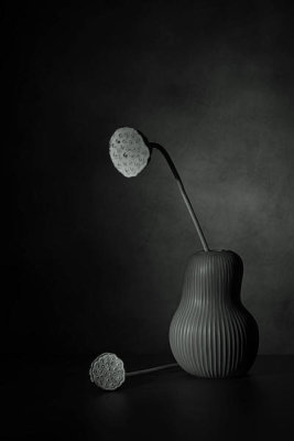 Saskia Dingemans - Black Velvet 2
