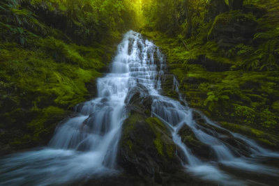 Ryan Dyar - Staircase Falls