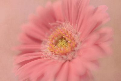 Jackie Matthews - Pretty In Pink...