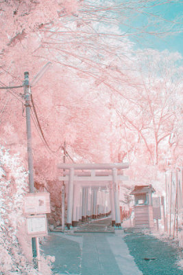 Yuuui - Infrared Photography